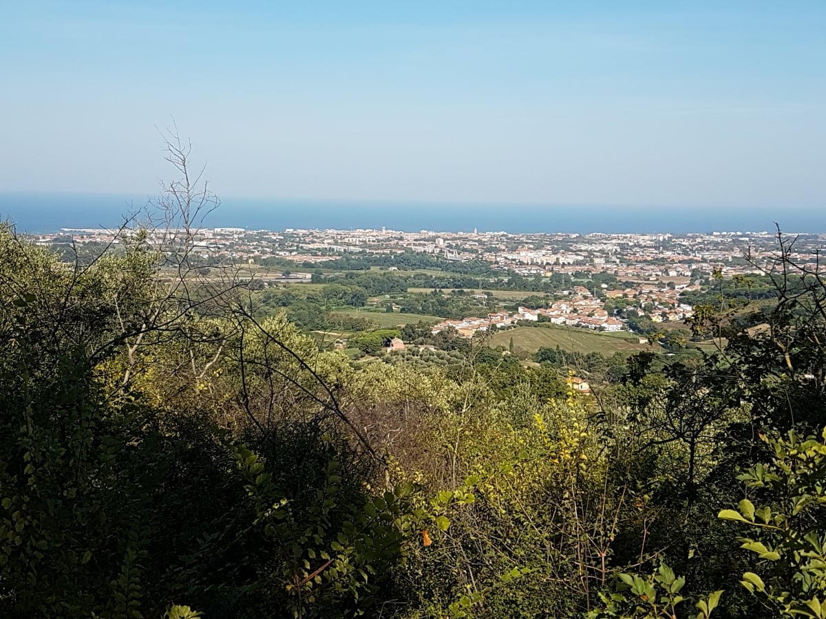 Visitare Fano: le 9 cose da vedere nella Città della Fortuna