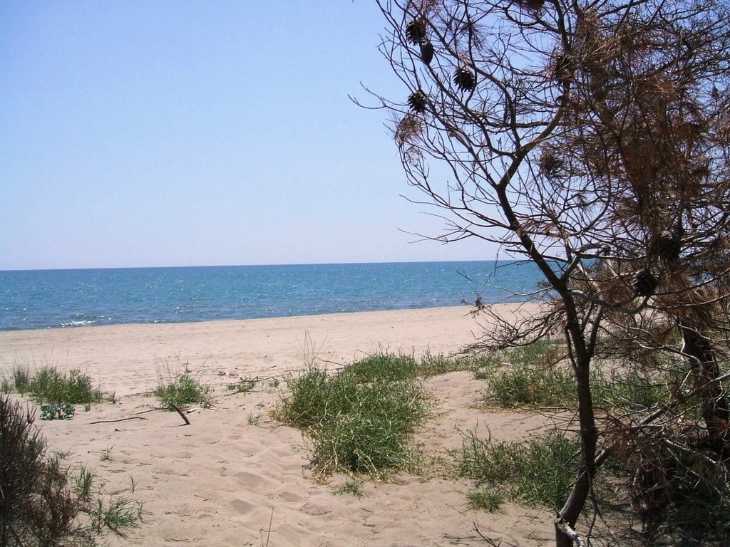 Vacanze a Scanzano Jonico cosa vedere e spiagge più belle della Vacanze a Scanzano Jonico cosa vedere e spiagge più belle della