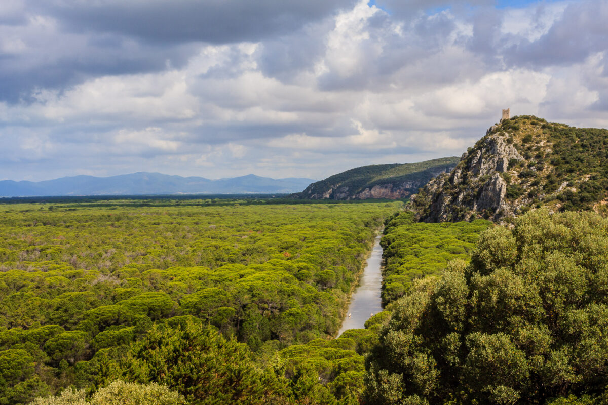 parco-naturale-della-maremma