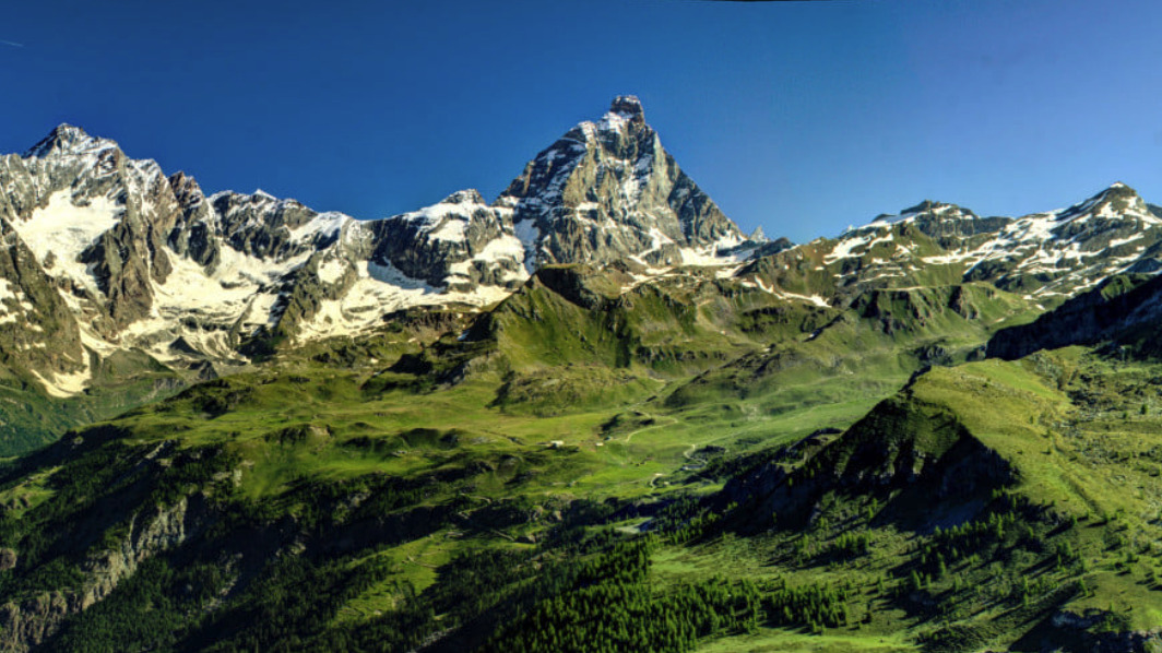 chamois-cervino