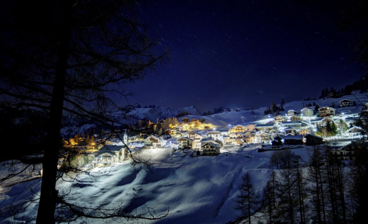 chamois-neve