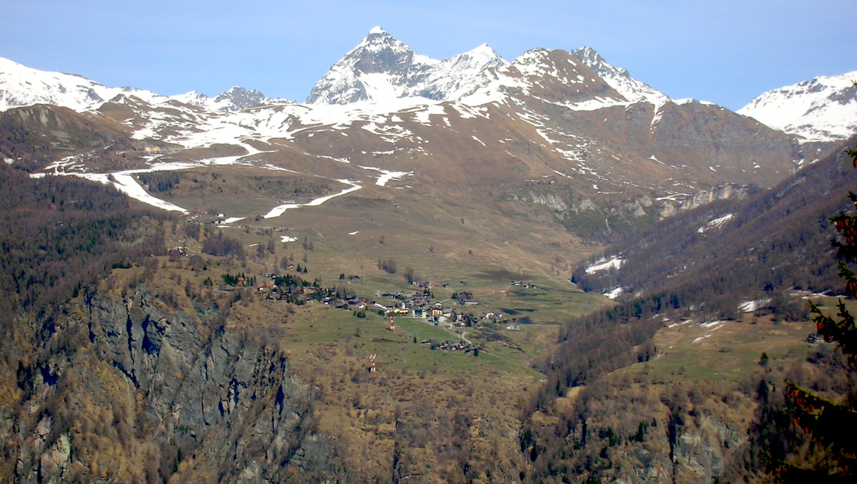 montagne-chamois