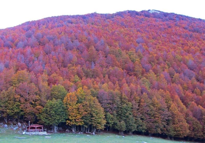 borghi-calabria-autunno