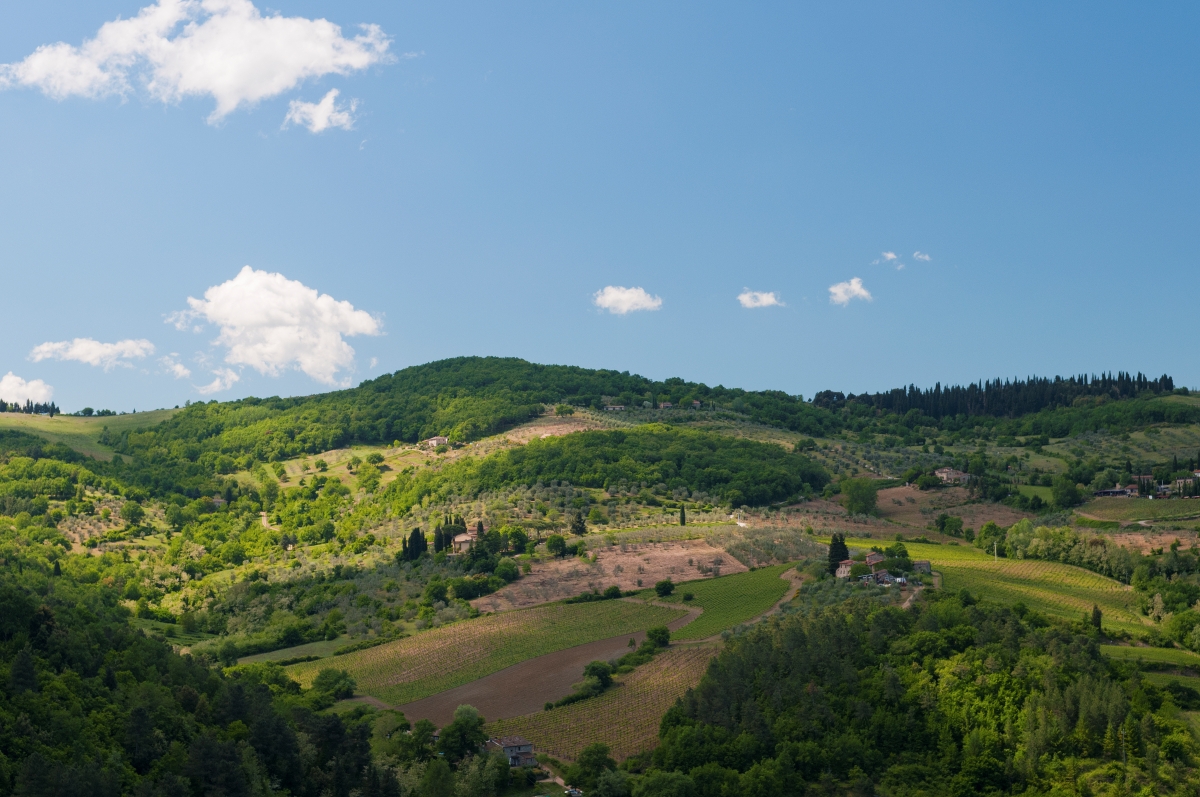 Le 5 cose da vedere a Greve in Chianti uno borghi più belli e caratteristici della Toscana