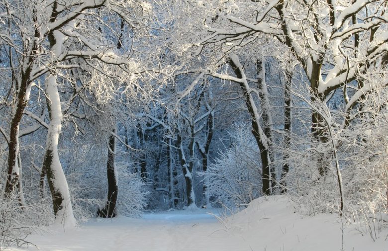 mete-natale-2021-paesaggio-neve