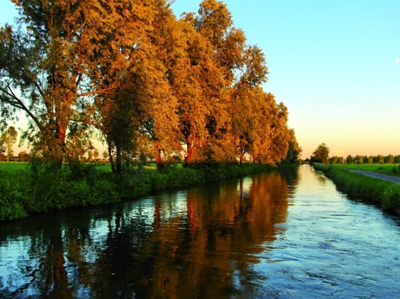 morimondo-naviglio