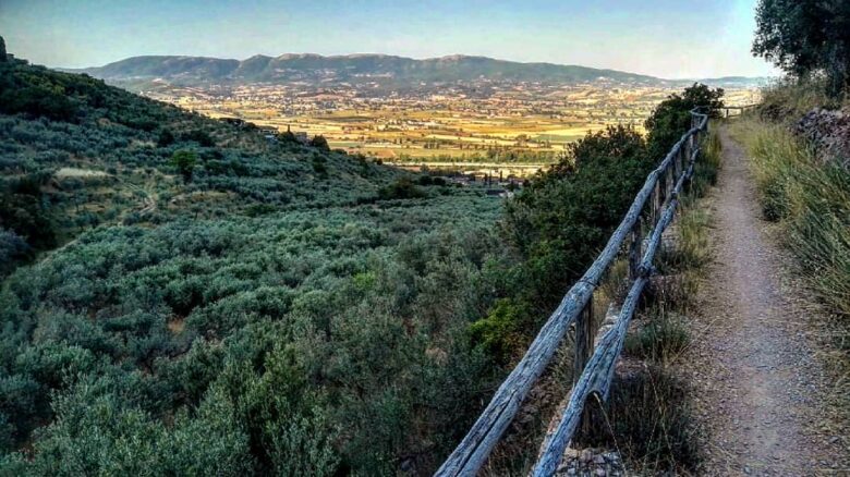 trevi-oliotrekking