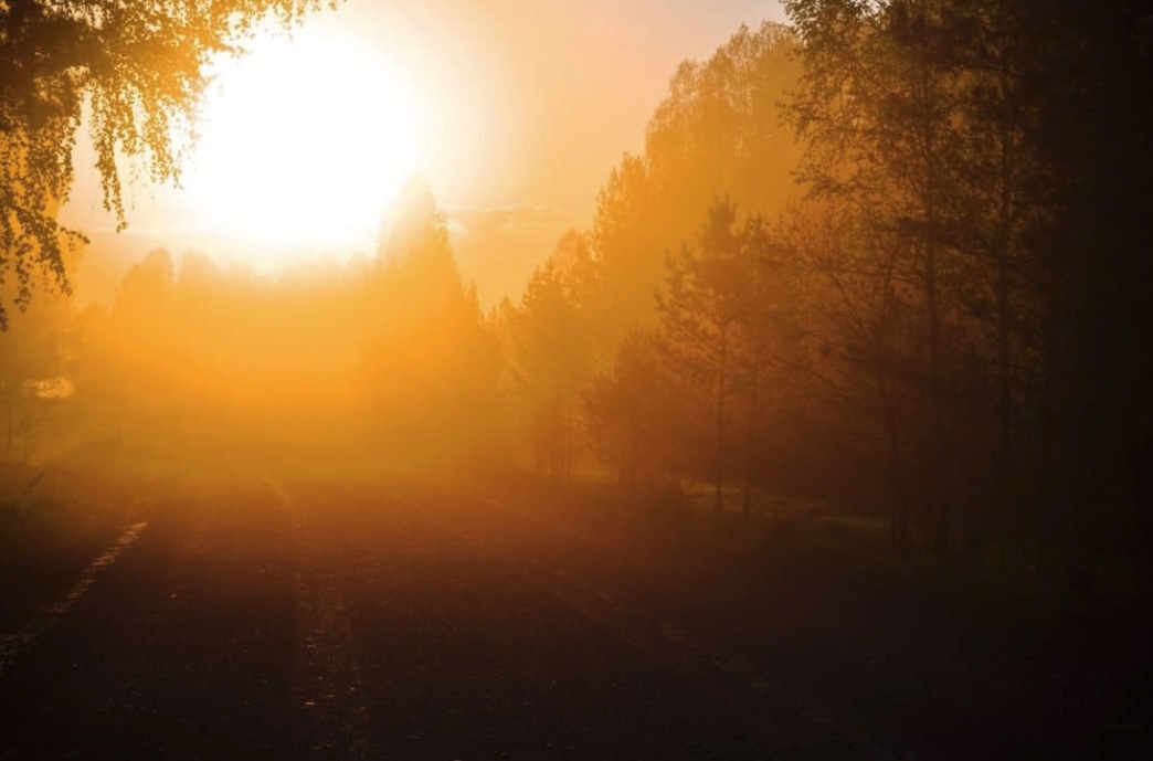 meteo-capodanno-2022-nebbia meteo-capodanno-2022-nebbia
