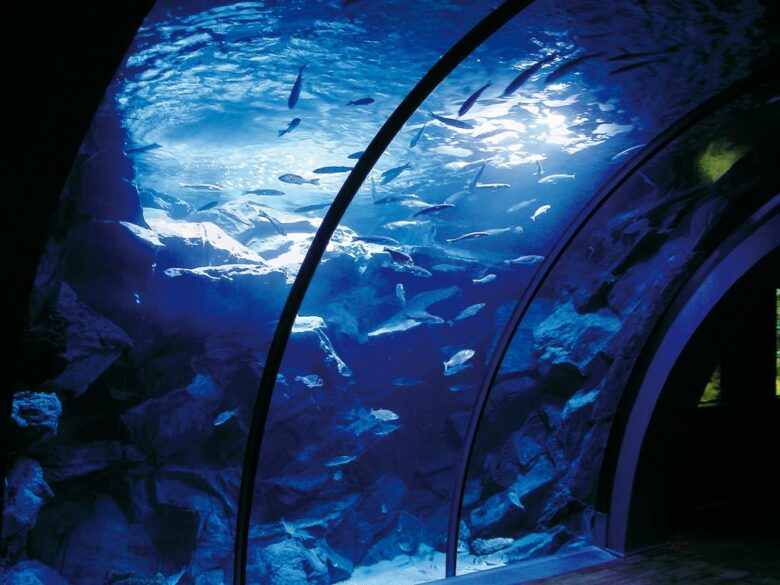 milano-acquario-civico