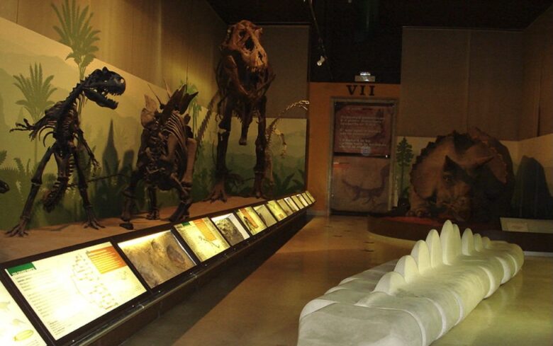 milano-museo-storia-naturale
