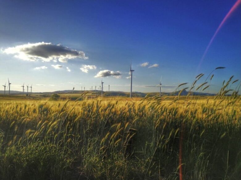 campania-primavera-savignano-irpino-natura