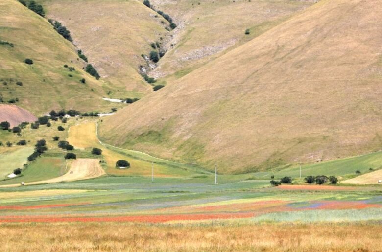 castelluccio-di-norcia-natura