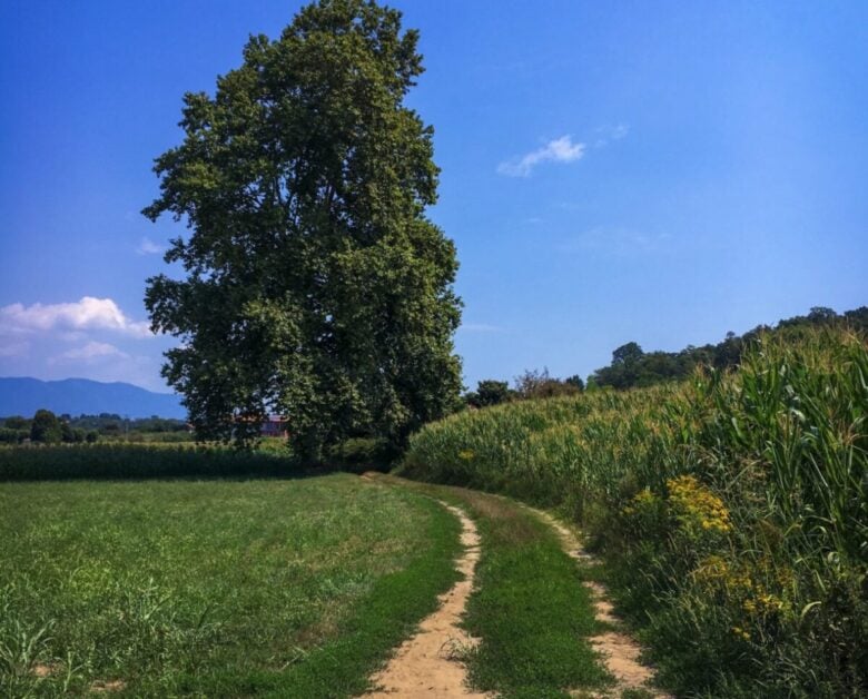 10 Cose Da Vedere E Da Fare Ad Angera, Il Borgo Romantico Del Lago Maggiore