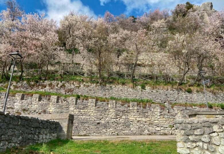 pennabilli-fiori