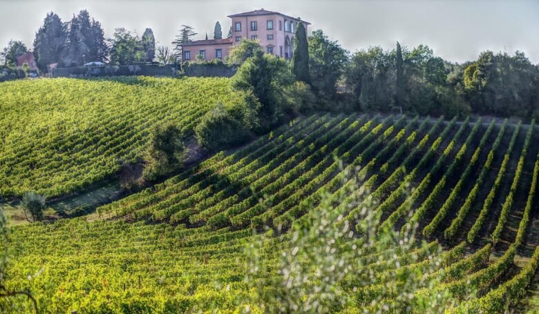 impruneta-escursioni-chianti