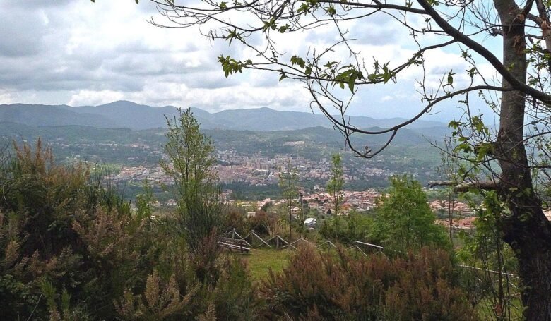 Borghi dei funghi più belli nel Sud Italia vallo della lucania