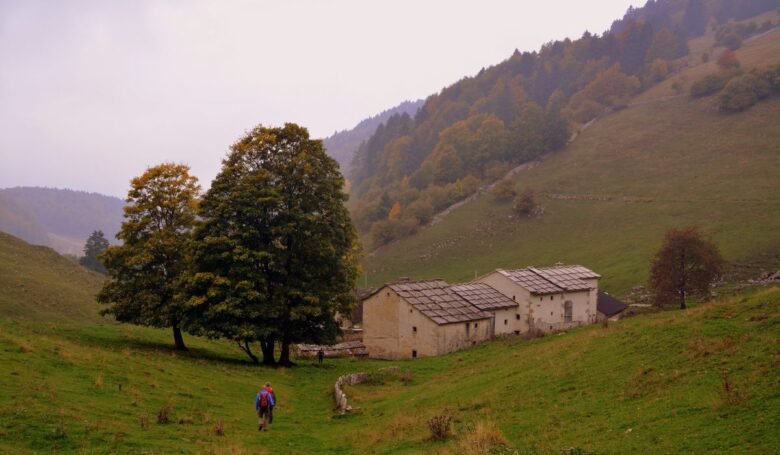 borghi funghi nord italia