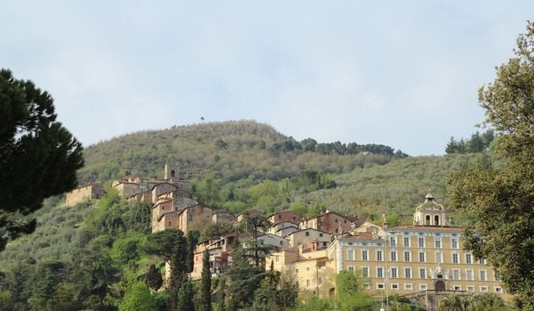 collodi-mangiare-bene-spendendo-poco