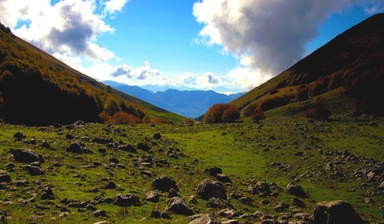 Dove ascoltare il bramito del cervo in amore Parco Nazionale Abruzzo Lazio e Molise
