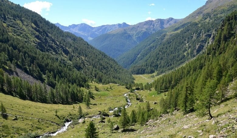 Dove ascoltare il bramito del cervo in amore val di rabbi