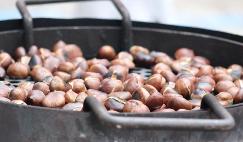 dove raccogliere le castagne centro italia
