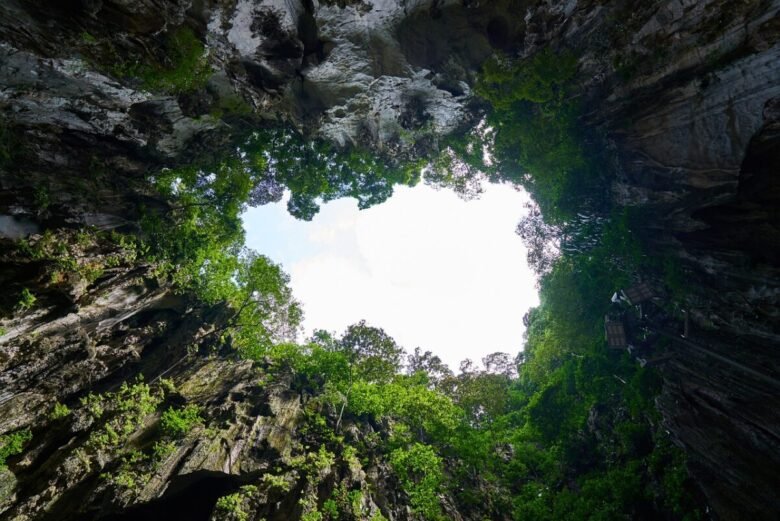 malesia