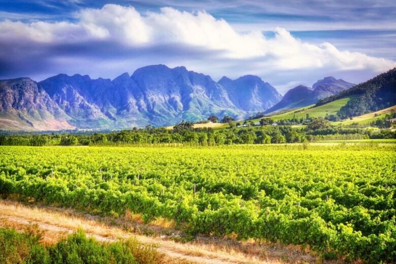 strade-vino-europa