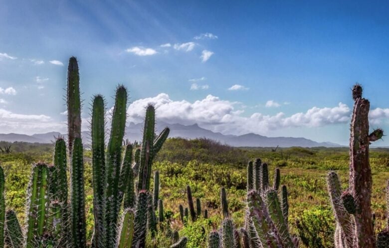 Venezuela-Paisaje