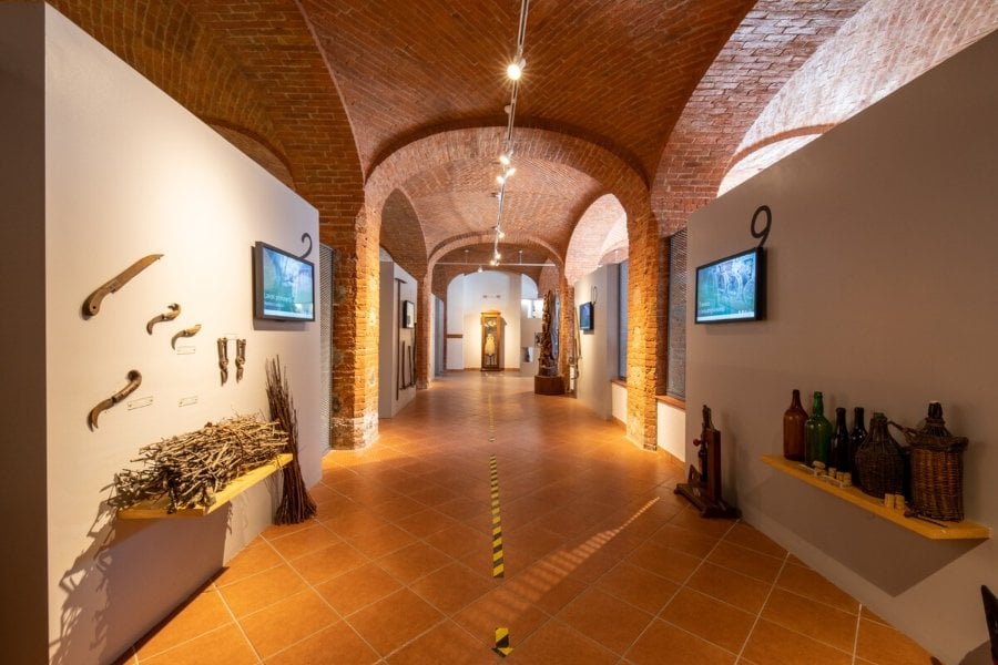 Museo della vite e del vino Museo della vite e del vino