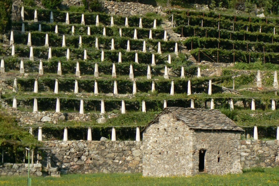 Terrazzamenti della vite – Donnas Terrazzamenti della vite – Donnas