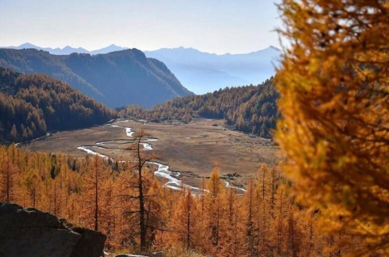 val-masino-foresta val-masino-foresta