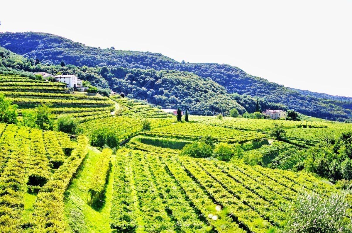 Valpolicella Valpolicella