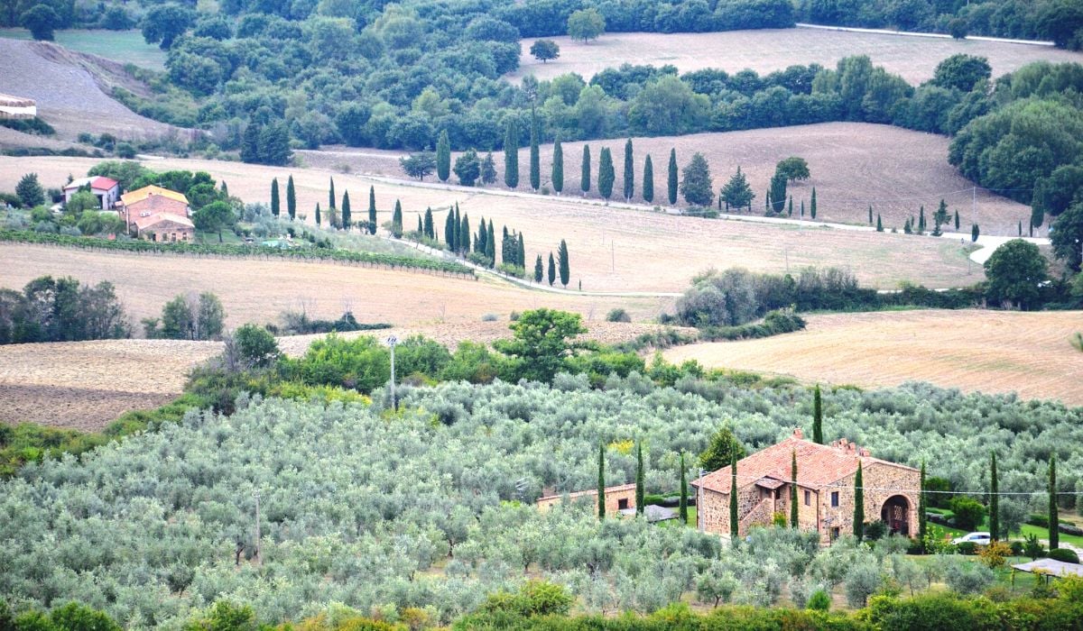 Le vacanze in agriturismo sono sempre più apprezzate da italiani e stranieri. Ormai è boom