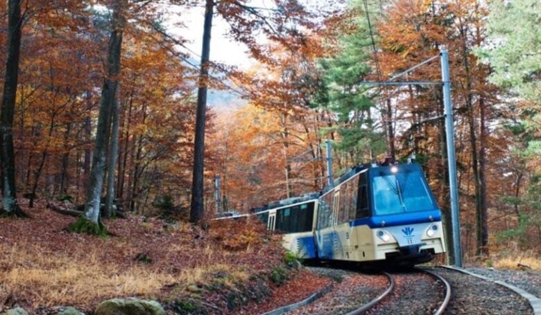 Ferrovia Vigezzina-Centovalli Ferrovia Vigezzina-Centovalli