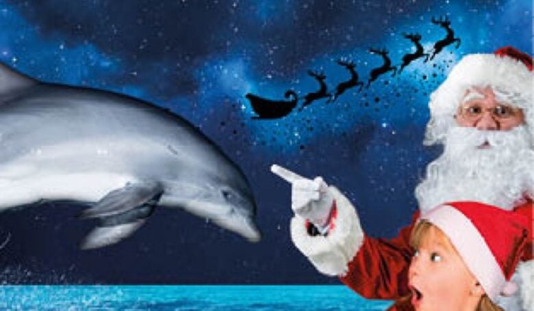 christmas abroad christmas abroad