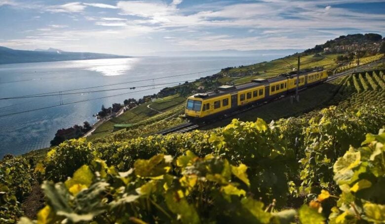 Train des vignes Train des vignes