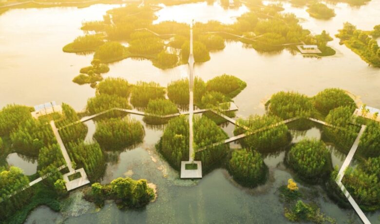 A-Floating-Forest A-Floating-Forest