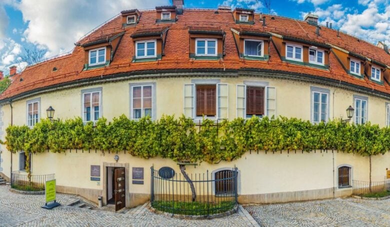 house of the Old Vine Maribor house of the Old Vine Maribor
