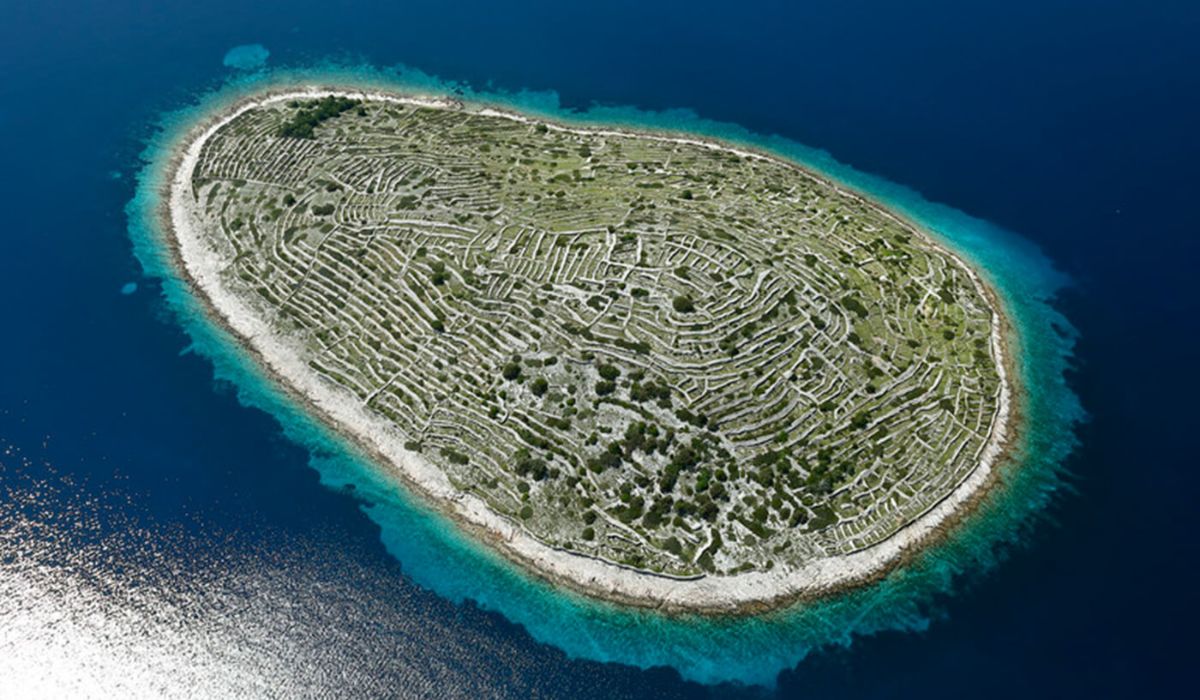 Nel bel mezzo del Mare Adriatico c’è un’isola a forma di impronta digitale: incredibile ma vera