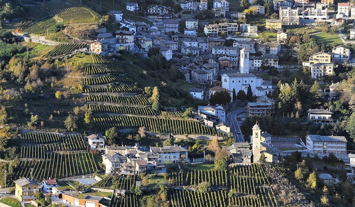 “Percorso DiVino”: scopri l’itinerario delle meraviglie tra i vigneti e i terrazzamenti di Sondrio e Castione
