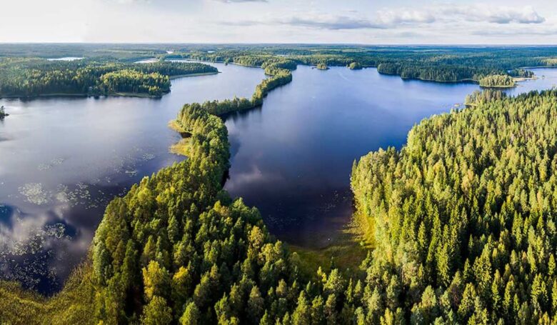 Parco nazionale Liesjärvi Parco nazionale Liesjärvi