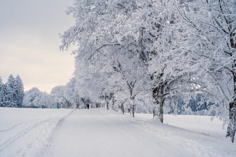 meteo-neve meteo-neve