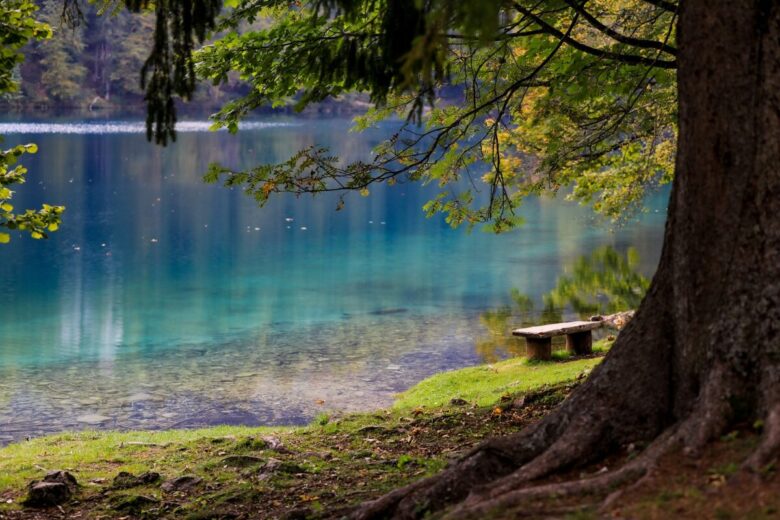 lago-sponda lago-sponda