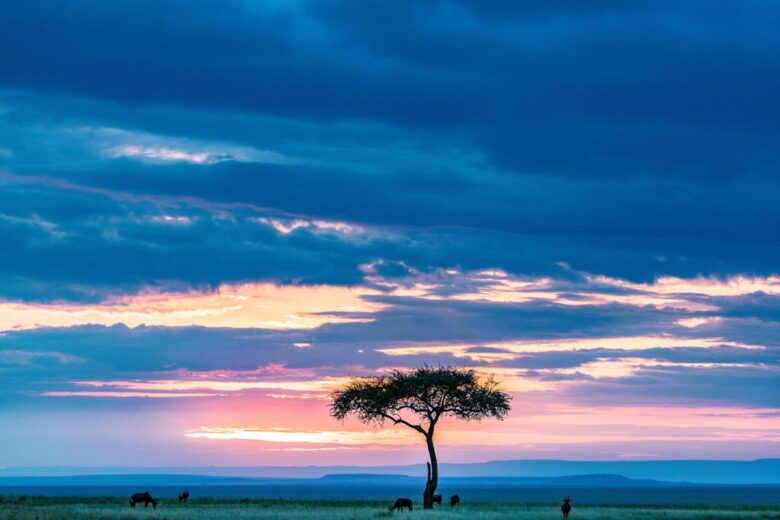 kenya-tramonto kenya-tramonto