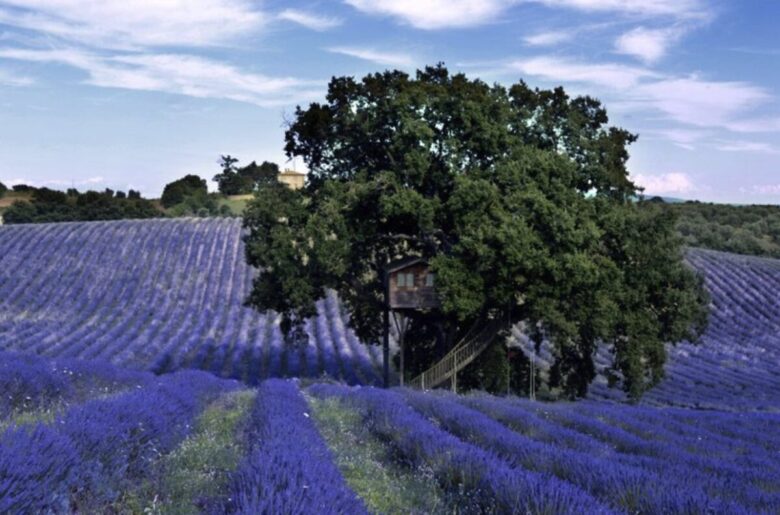Suite-Bleue Suite-Bleue