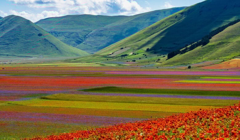 Castelluccio di Norcia Castelluccio di Norcia