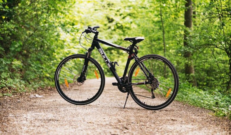 fiera del cicloturismo bologna fiera del cicloturismo bologna
