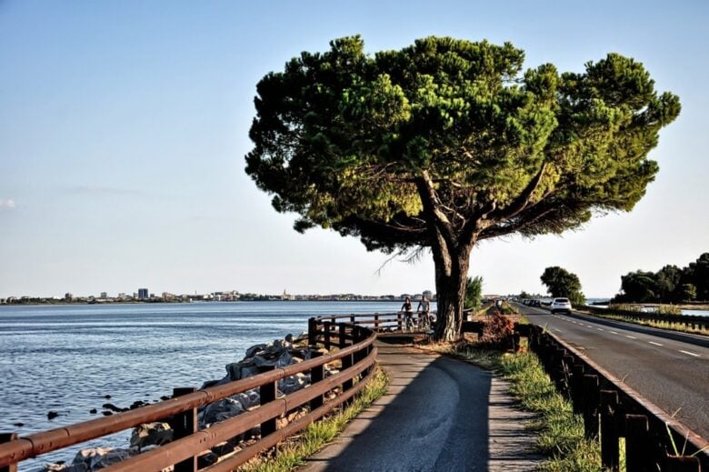 pista ciclabile Mantova pista ciclabile Mantova