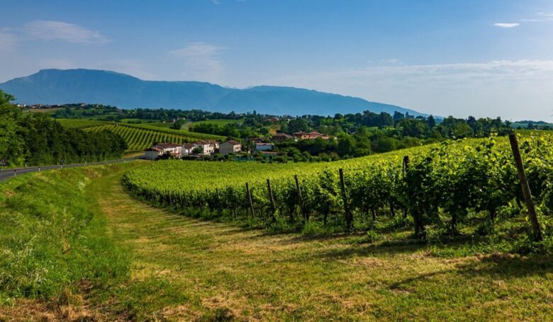 Vinetia Tasting 2023 Vinetia Tasting 2023