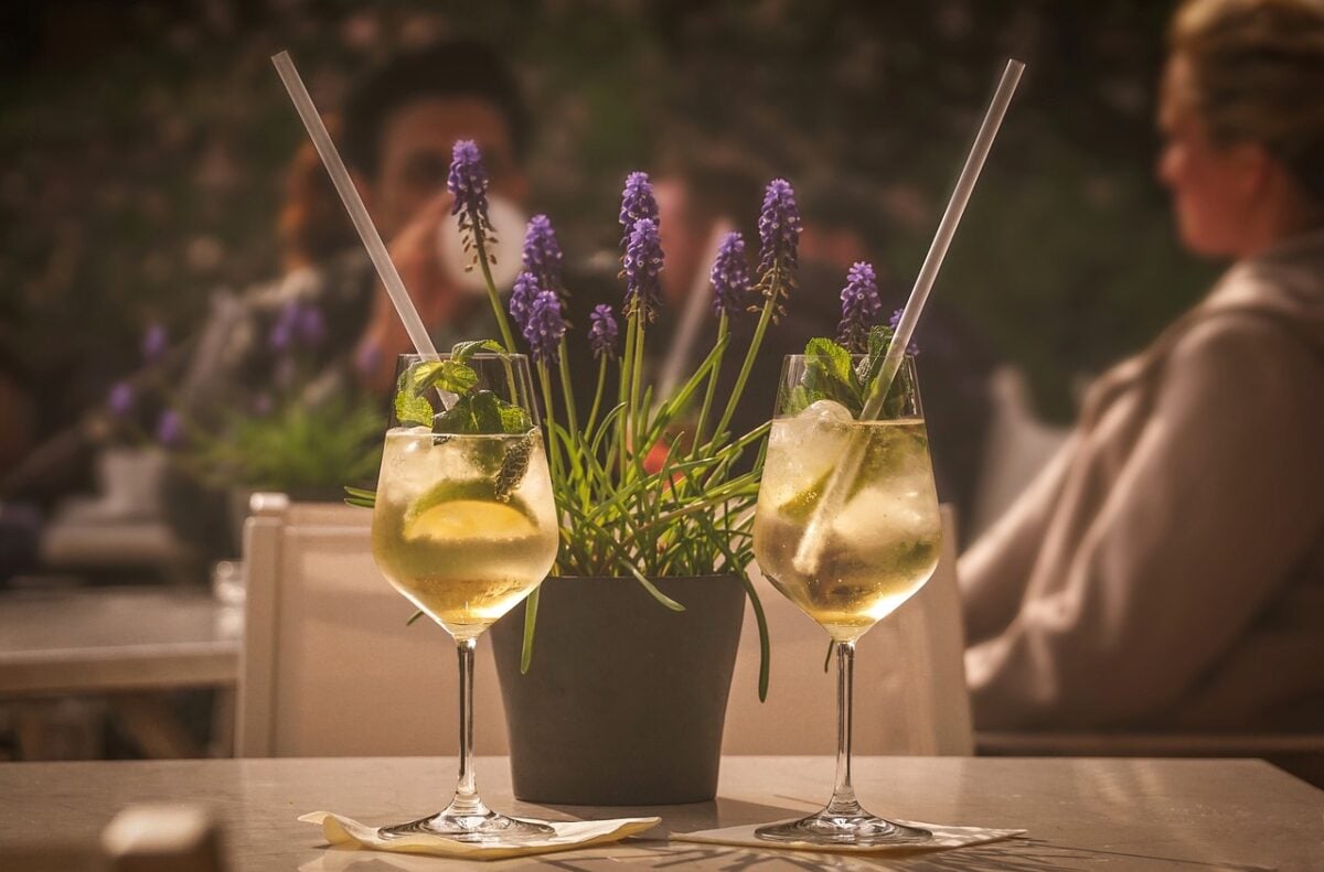 Qui potrai vivere l’esperienza di un aperitivo speciale in un vivaio…tra fiori e animali